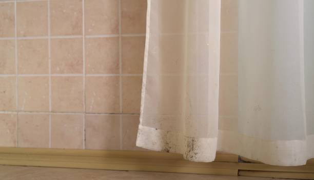 Best Emergency Mold Remediation  in Cresco, IA