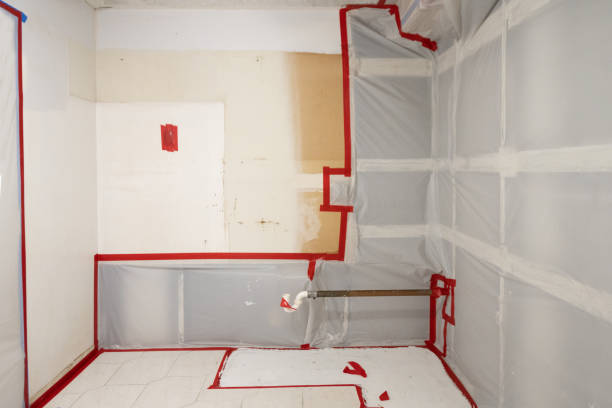 Best Industrial Mold Remediation  in Cresco, IA