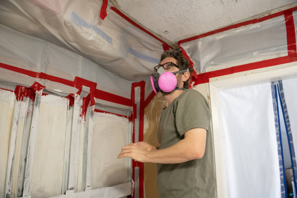 Best Environmental Consulting for Mold Prevention  in Cresco, IA