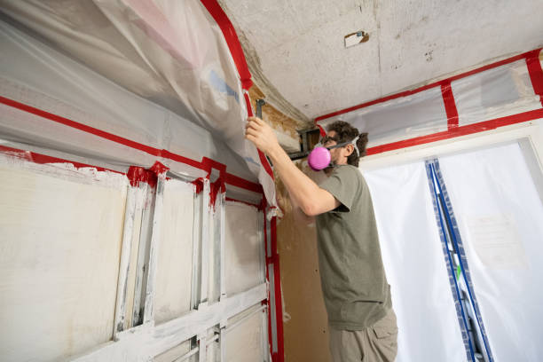 Best Water Damage & Mold Remediation  in Cresco, IA