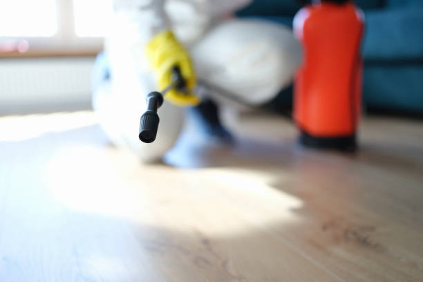 Best Attic Mold Removal  in Cresco, IA