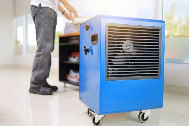 Best Mold-Related Health Consultation  in Cresco, IA