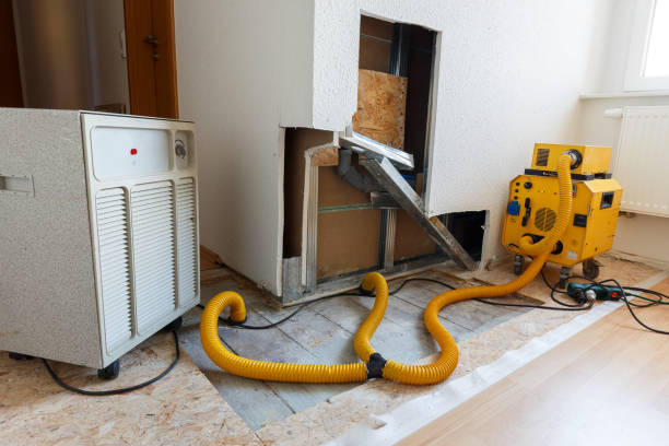 Cresco, IA Mold Removal Company
